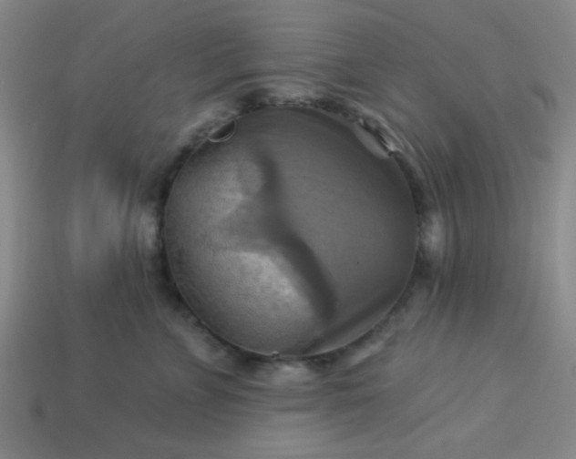 X0000114100715200910191642