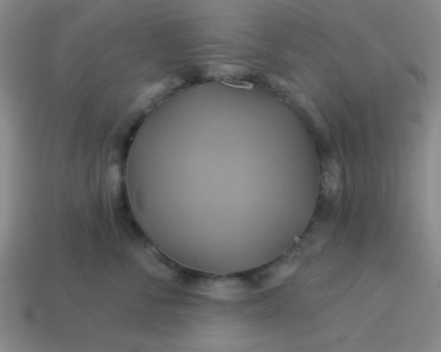 X0000114100716200910191642