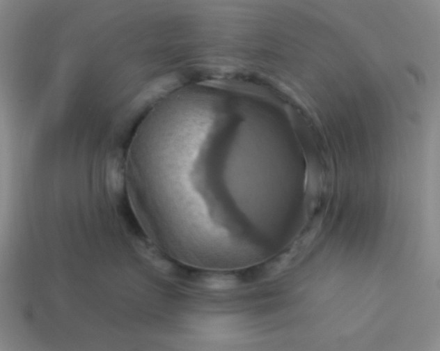 X0000114100719200910191642