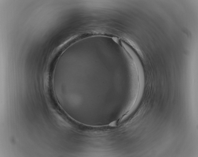 X0000114100722200910191641