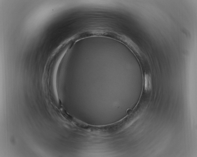 X0000114100723200910191641