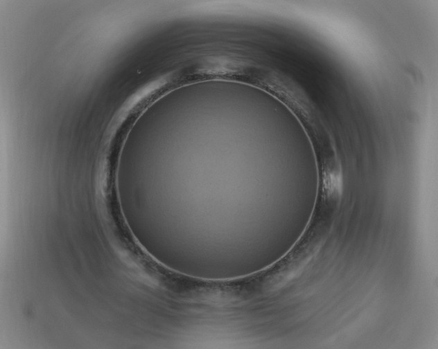 X0000114100724200910191641