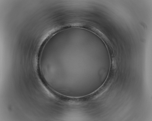 X0000114100725200910191641