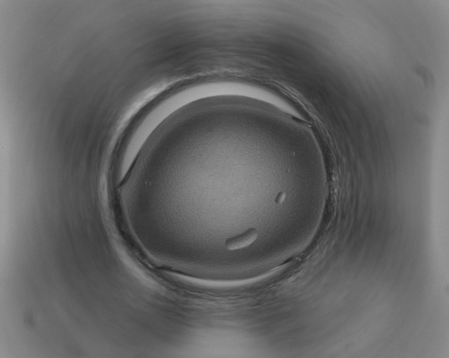 X0000114100726200910191641