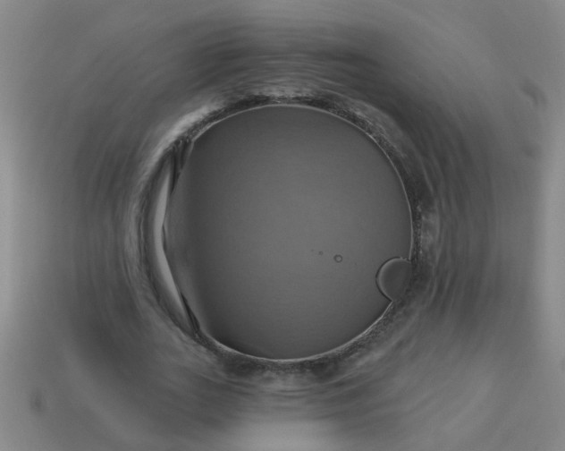 X0000114100727200910191641