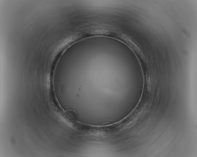 X0000114100729200910191641