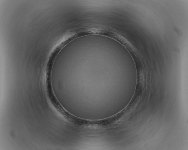 X0000114100730200910191641