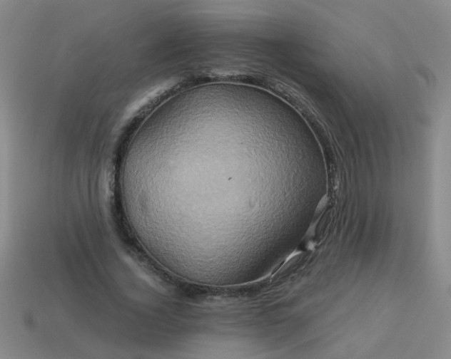 X0000114100732200910191641