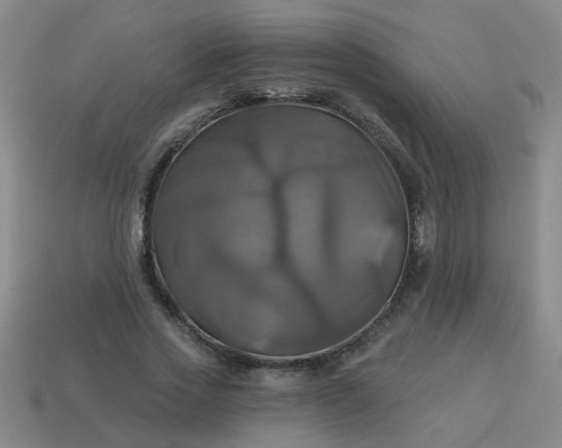 X0000114100733200910191641