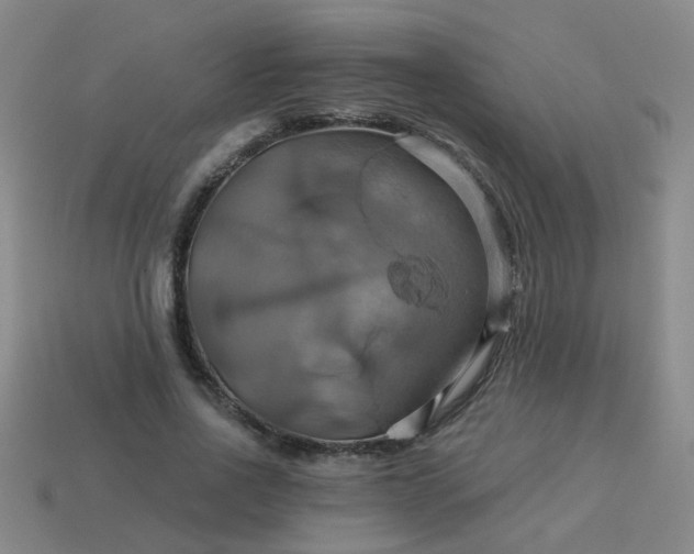 X0000114100734200910191641