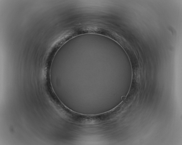 X0000114100735200910191641