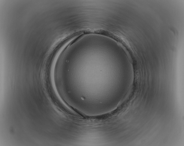 X0000114100736200910191641