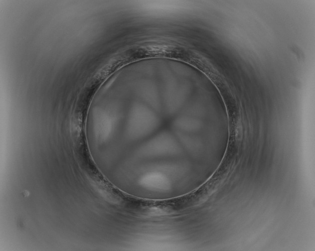 X0000114100737200910191641