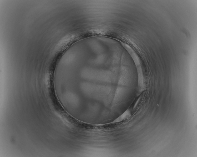 X0000114100738200910191641