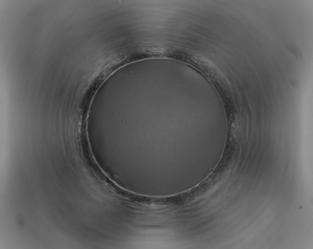 X0000114100739200910191641