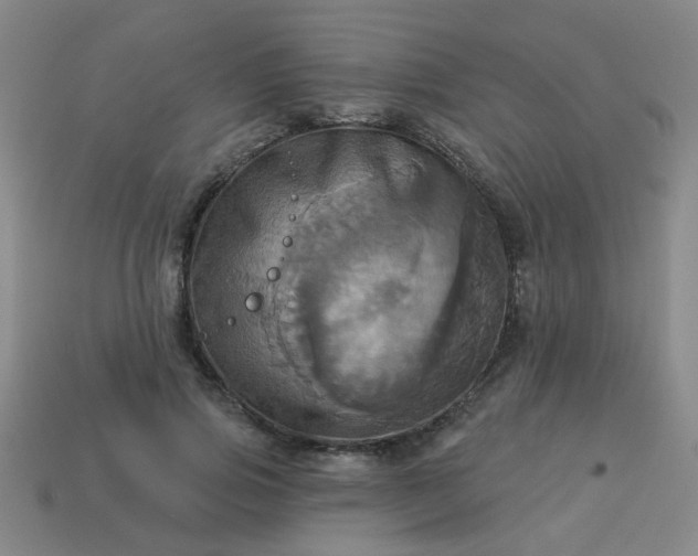 X0000114100741200910191641