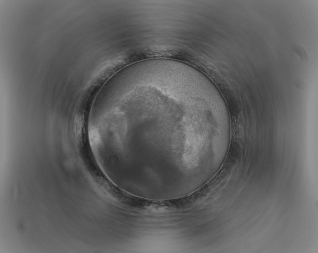 X0000114100742200910191641