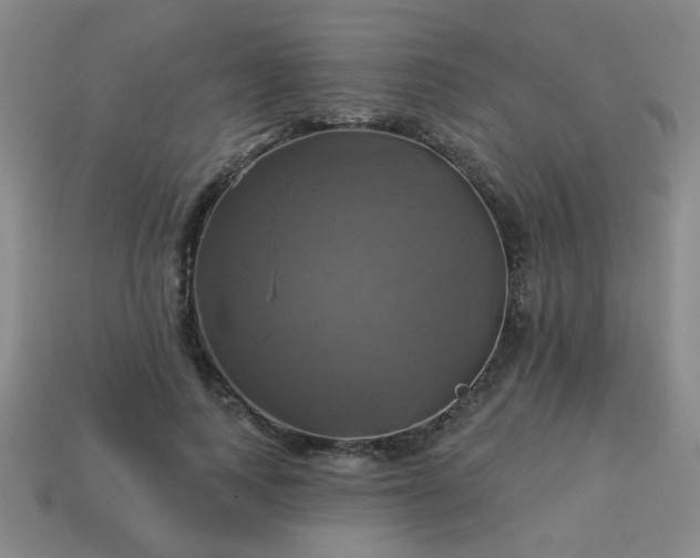 X0000114100743200910191641