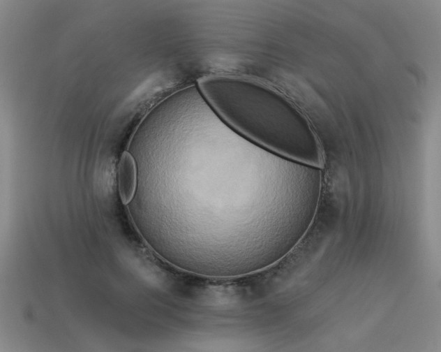 X0000114100744200910191642