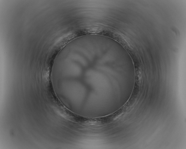 X0000114100745200910191642