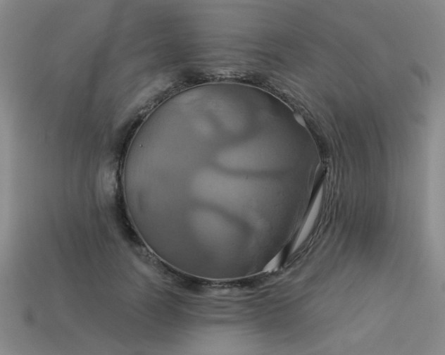 X0000114100746200910191642