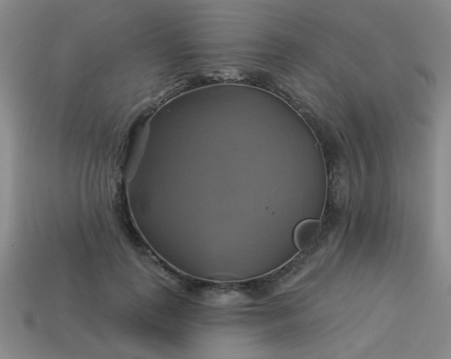 X0000114100747200910191642