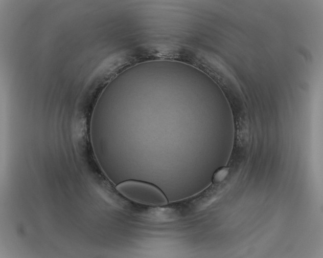 X0000114100748200910191642