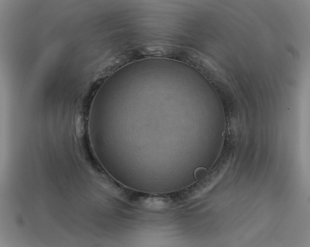 X0000114100751200910191642