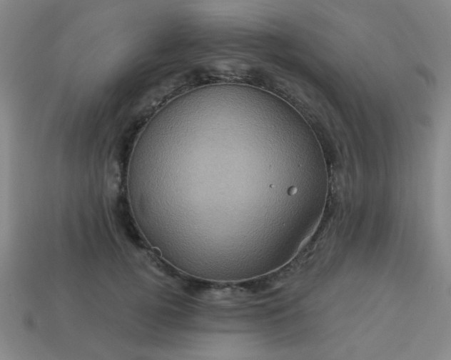 X0000114100752200910191642