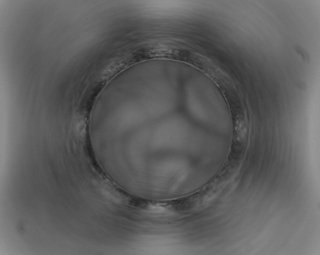 X0000114100753200910191642