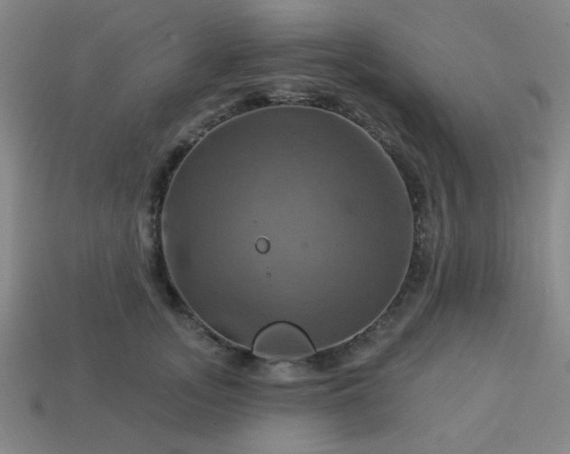 X0000114100755200910191642