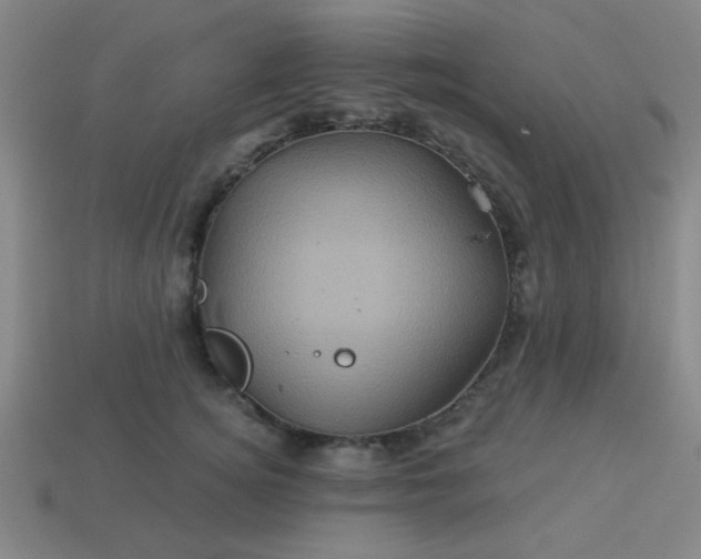 X0000114100756200910191642