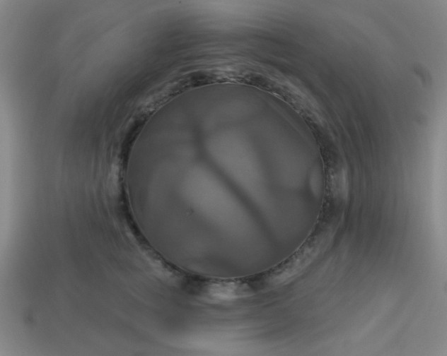 X0000114100757200910191642