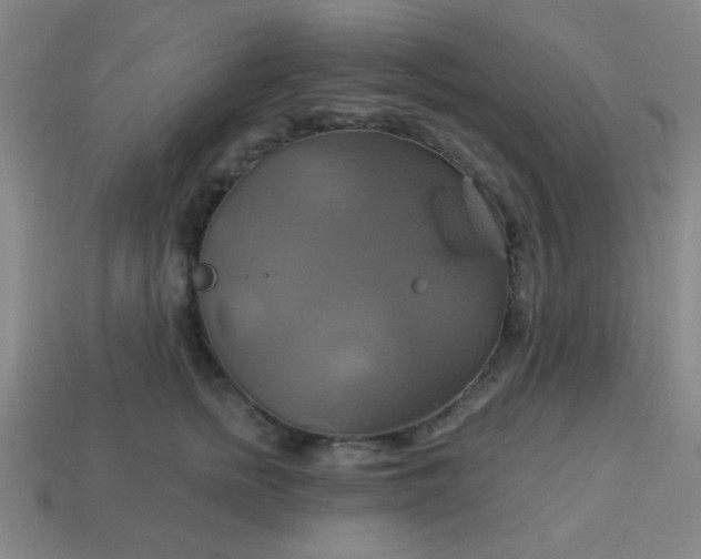 X0000114100758200910191642