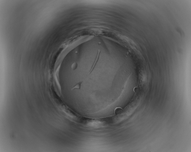 X0000114100759200910191642