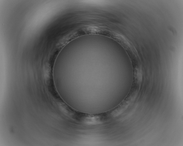 X0000114100760200910191642