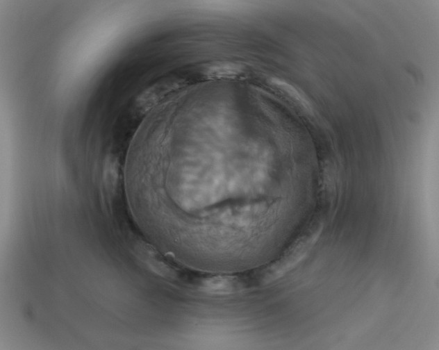 X0000114100761200910191642