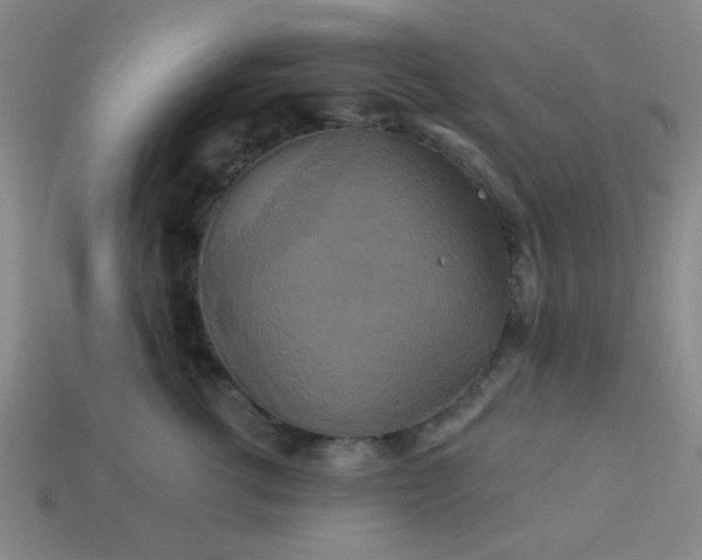 X0000114100762200910191642