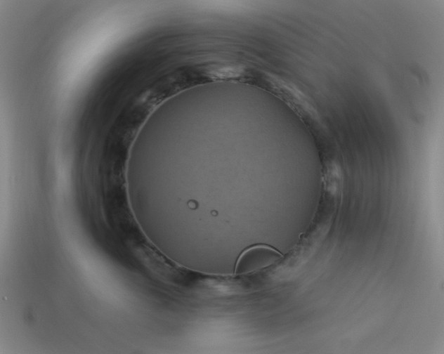 X0000114100763200910191642