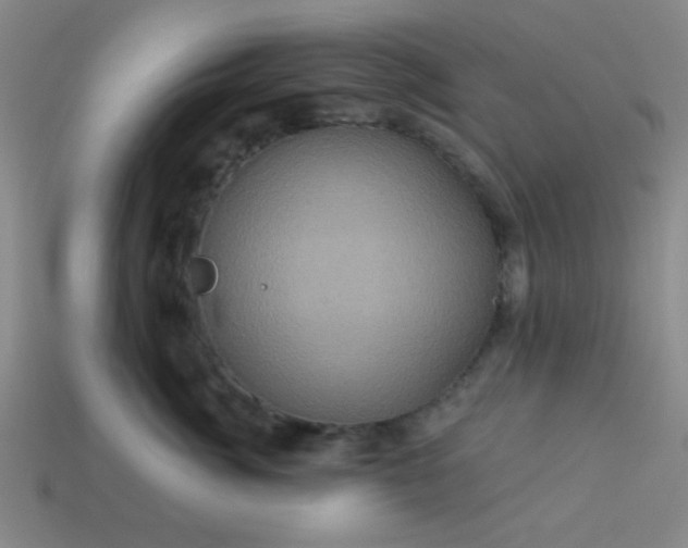 X0000114100764200910191642