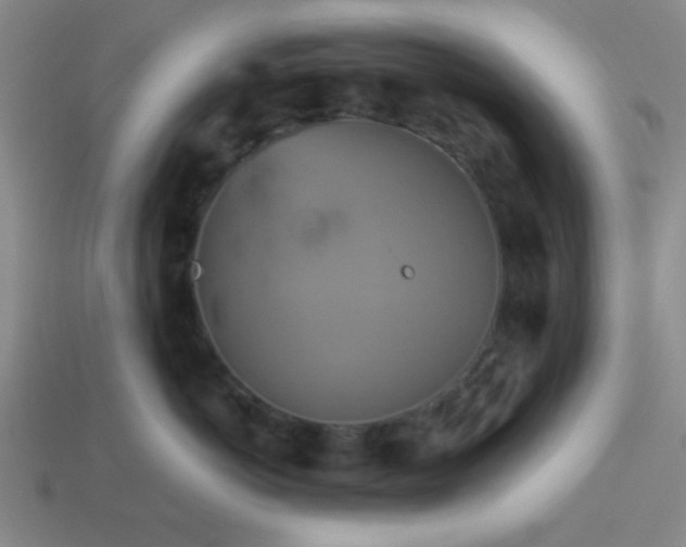 X0000114100766200910191642