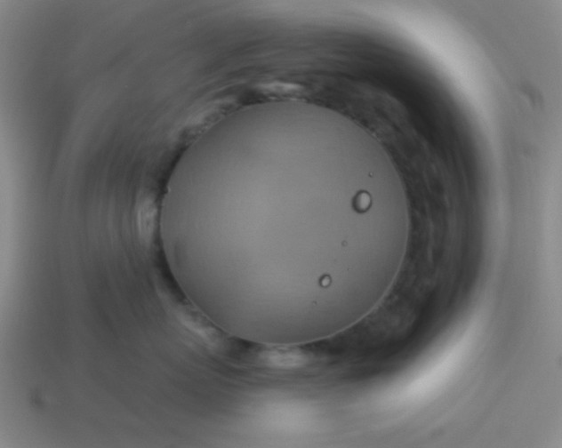 X0000114100767200910191642