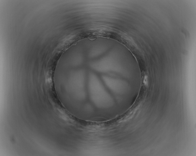 X0000114100771200910191641