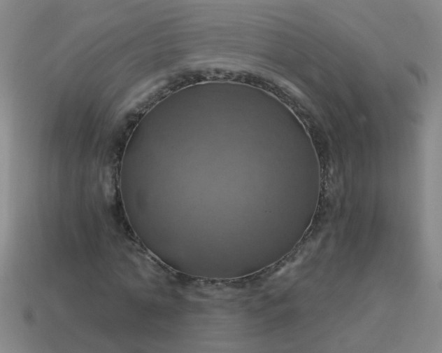 X0000114100774200910191641