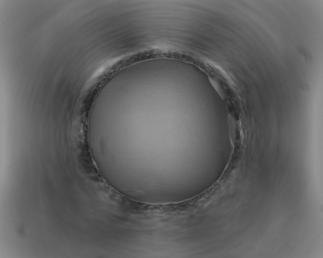 X0000114100776200910191641