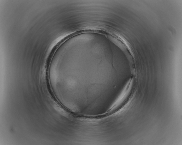 X0000114100779200910191641