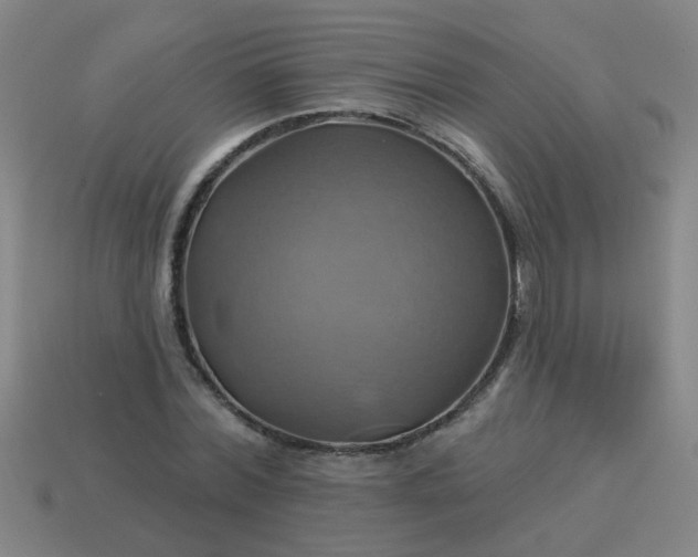 X0000114100780200910191641