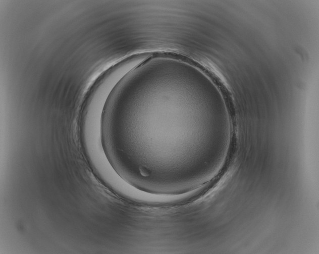 X0000114100781200910191641