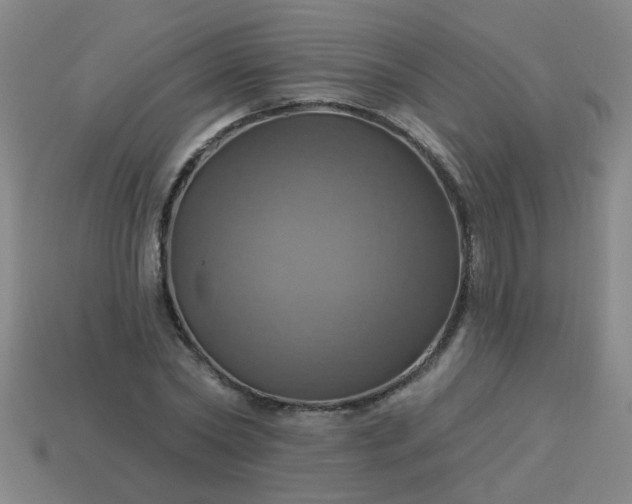 X0000114100782200910191641