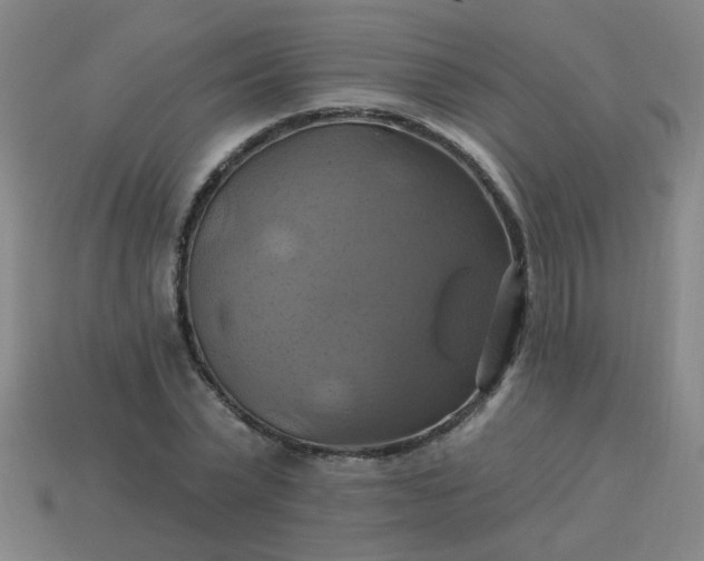 X0000114100783200910191641